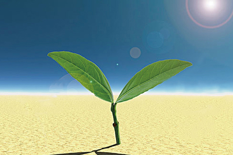 送飛實業集團2013年公司成立